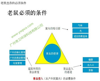 廣州老鼠防治公司