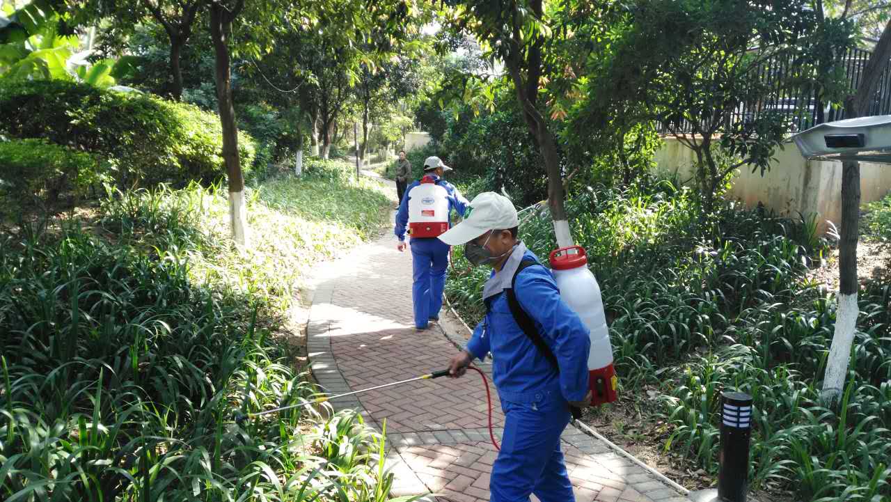 廣州消殺除蟲公司